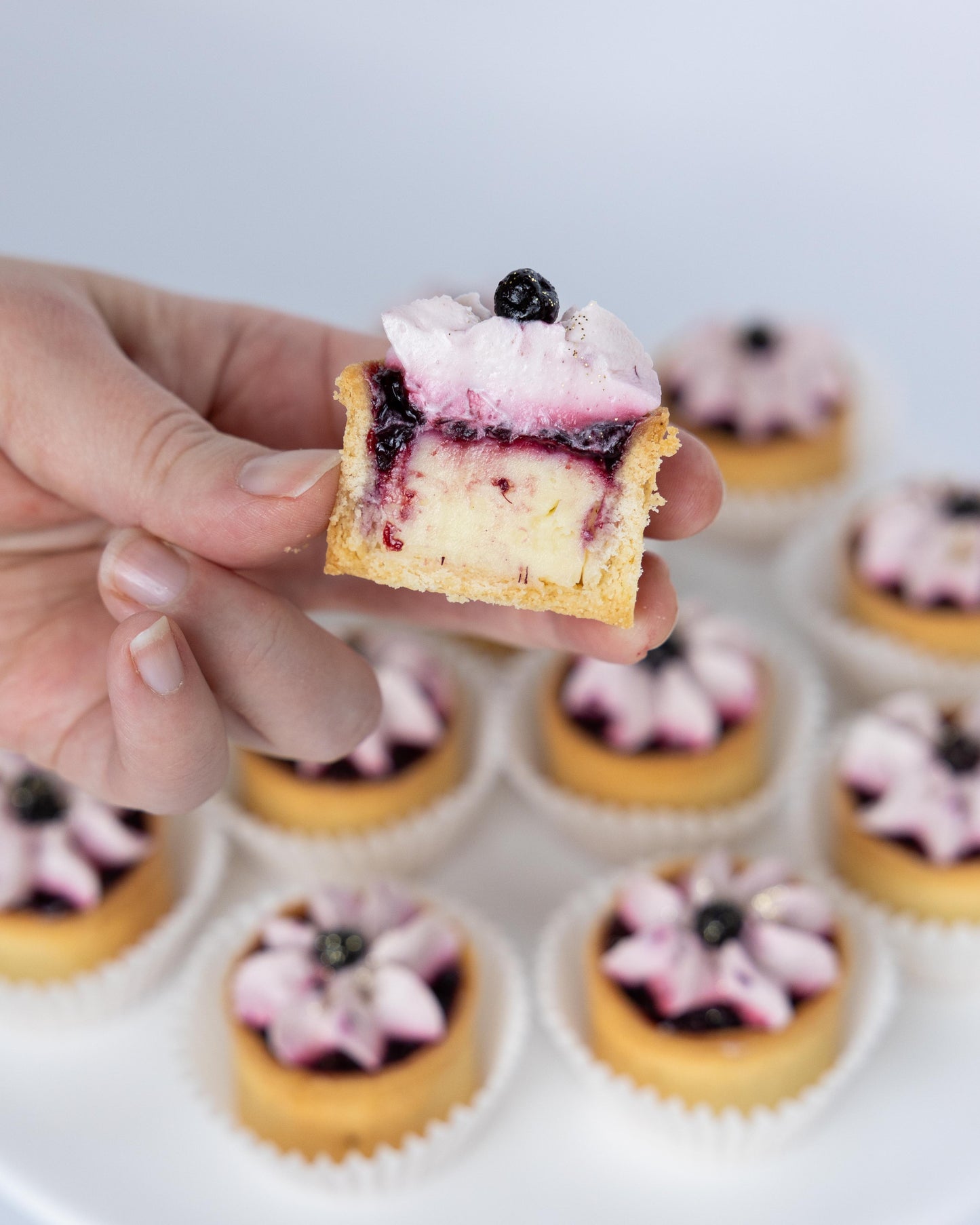 Marionberry Tarts (Sets of 12)